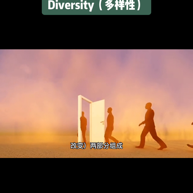 1分钟一个英语单词：Diversity（多样性）#新加坡
