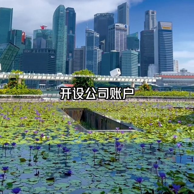 新加坡自雇移民申请永居#新加坡移民