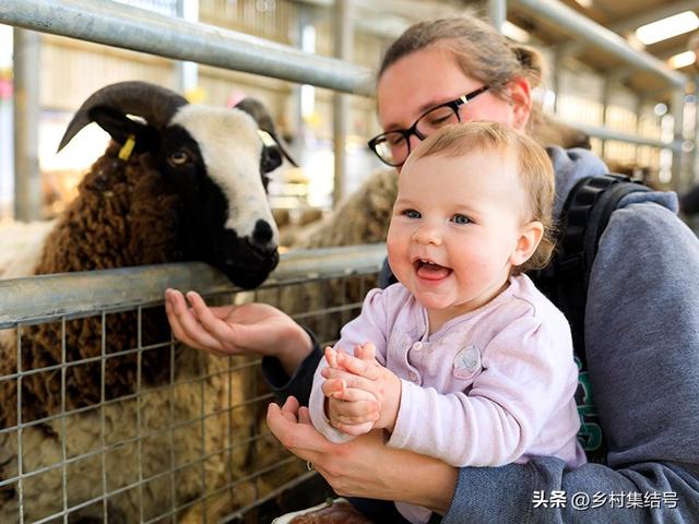 马来西亚的UK休闲农场：以生态农业体验为特色的园区典范