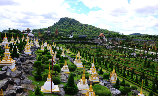 泰国芭蕉花生长环境，传统用途，以及在泰国文化中的地位和意义