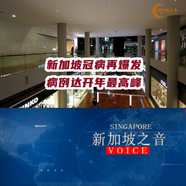 新加坡新冠甲流再爆发，冠病病例一星期增加近一倍，达到开...