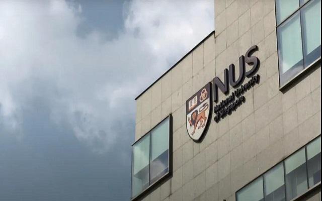 新加坡国立开了个"皇艺IDE"，双非可报