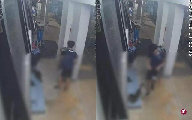 新加坡一男孩被指对猫做出猥亵举动 ，被当地警方抓捕调查