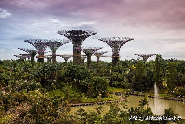 【新加坡】芊华：鸿沟