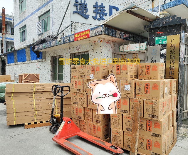 全面带您了解中国到新加坡海运双清专线由细到仔读懂跨国运输操作
