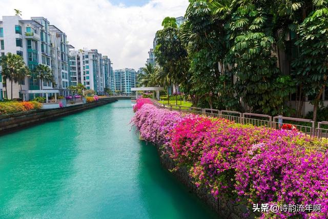 唯一没有蚊虫肆虐的热带国家：新加坡