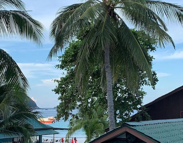 新加坡工作机会