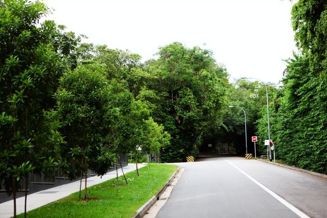 新加坡最古老的公园，花柏山上也有一只鱼尾狮