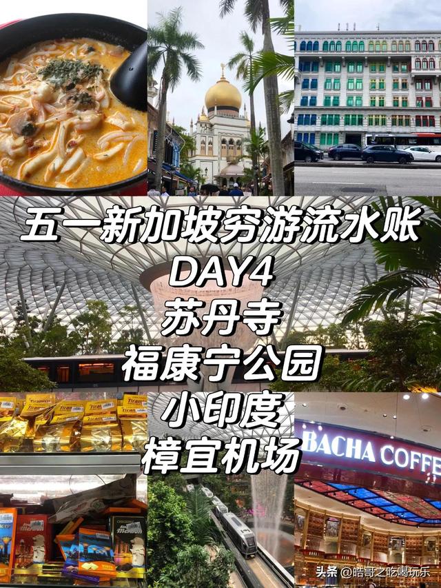新加坡穷游记D4