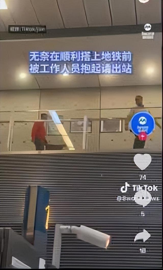 新加坡地铁成“动物园”，小猫冲入“寻找杰瑞”走红网络！