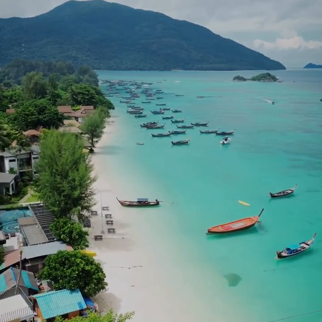 快速移民新加坡，获得新加坡身份的四种方式，最快九个月就...