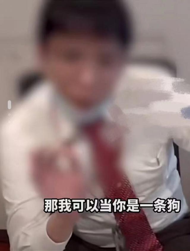 旅客在新加坡乘机被柜台服务人员辱骂“是狗”？南航致歉