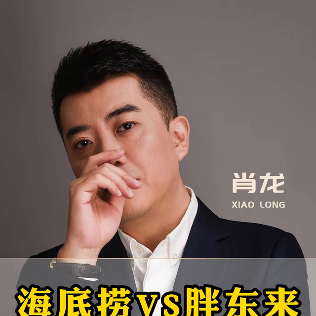 河南新乡的胖东来Vs“新加坡”的海底捞，你更喜欢哪个呢...