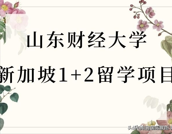 3年名校本科毕业，山东财经大学1+2新加坡定向班开始招生啦！