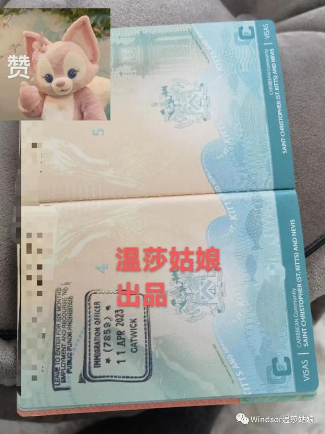 网友亲历！圣基茨护照如何在新加坡中转出行