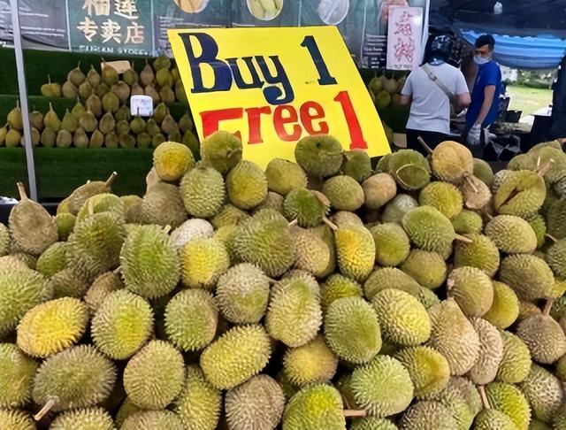 新加坡水果“预订”涨价，网友兴叹：水果不够青菜来凑
