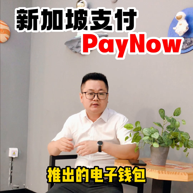 你绝对不知道新加坡用什么支付？#跨境老张