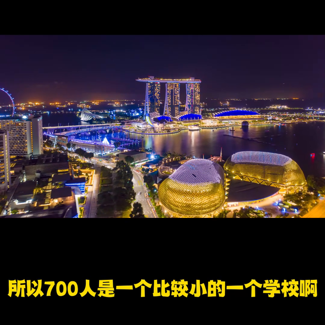 2022年新加坡各国际学校，考大学分数汇总（第三段）#...