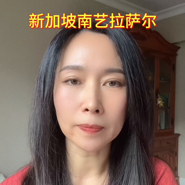 新加坡艺术留学，拉萨尔和南艺作品集要求#家长必读
