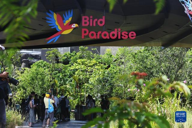 新加坡新一座飞禽公园开门迎客