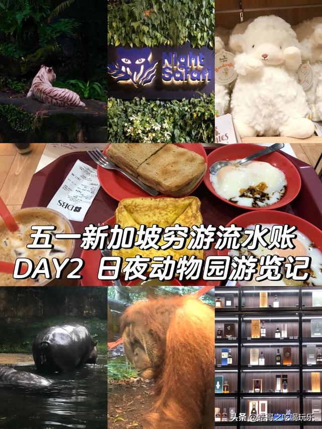 新加坡穷游记D2