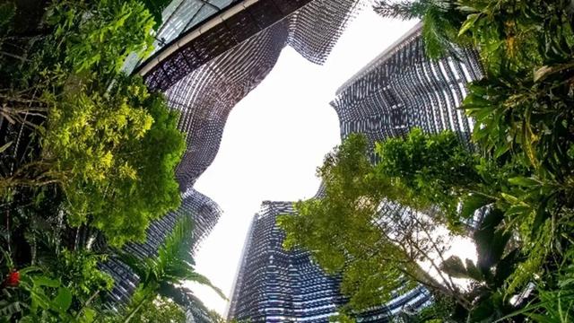 富豪专属移民方案：新加坡开家族办公室移民