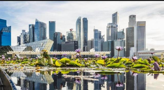 新加坡因“环境差”被西方组织列入“黑名单”，真相究竟如何？