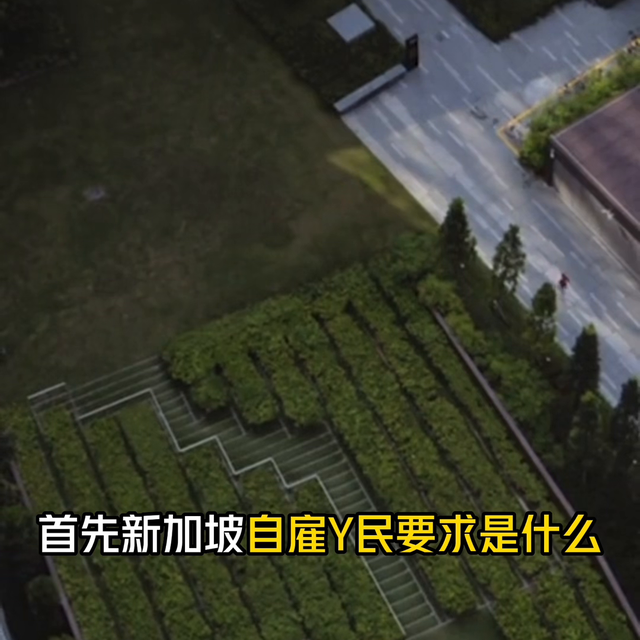 新加坡自雇移民成功率高吗 #投资移民#海外生活#护照#移民