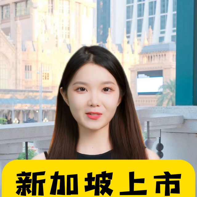 新加坡上市ipo辅助辅导策划筹划设计海外国际新加坡上市...