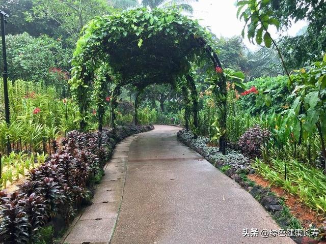 全球最美的八座植物园——新加坡植物园