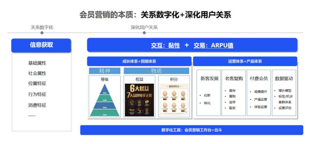 消费市场的新增量：W型机会、单客经济、日本市场、DTC...