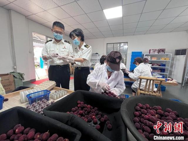 浙江台州今年首批杨梅出口新加坡