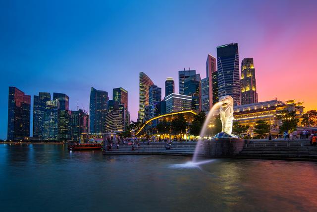 如何选择合适的新加坡公司类型？