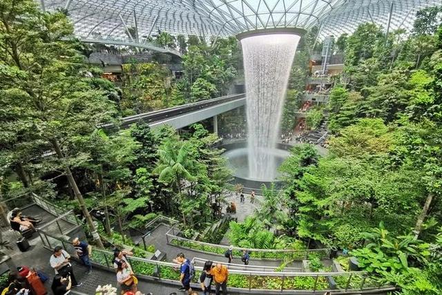 新加坡城市空间立体绿化艺术的发展及研究