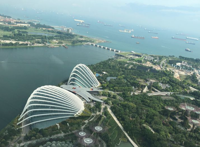 新加坡EP准证，创业自雇移民