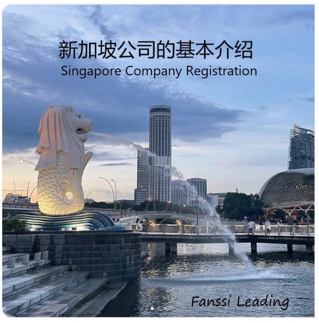 新加坡公司注册成立介绍（纯干货）