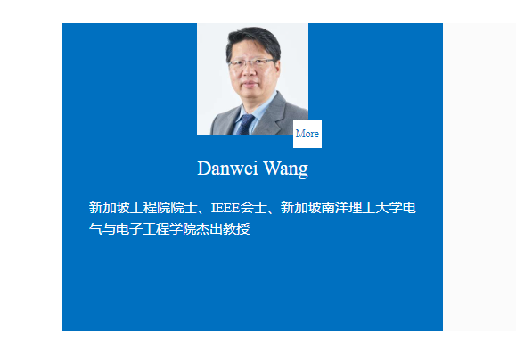 新加坡工程院院士、南洋理工大学杰出教授Danwei Wang加入AAIA！