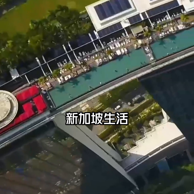 新加坡富人移民的天堂中产移民的地狱#投资移民#海外生活...
