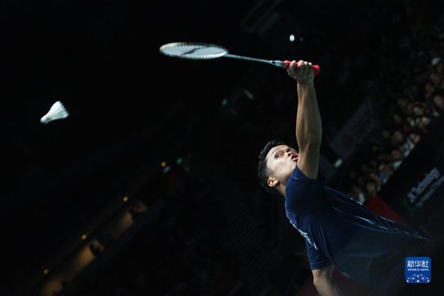 新加坡羽毛球公开赛：金廷男单夺冠
