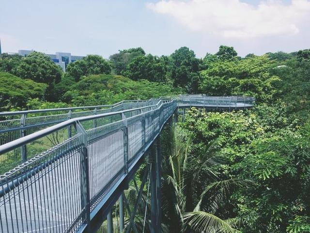 新加坡南部山脊公园的设计艺术理念有哪些