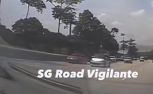 野猪冲刺新加坡高速公路四车道终遭命运转变，现场视频曝光