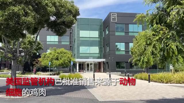 美国批准培养细胞肉，首批实验室培育“肉”上市