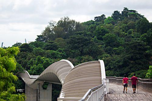 新加坡南部山脊公园的设计艺术理念有哪些