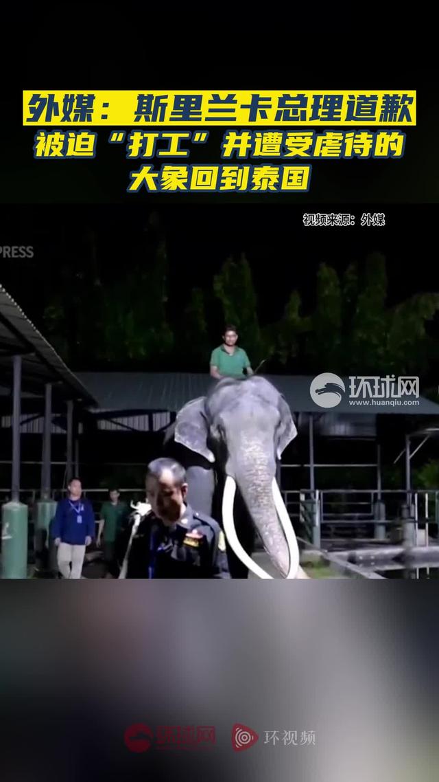 外媒：斯里兰卡总理道歉，被迫“打工”并遭受虐待的大象回到泰国