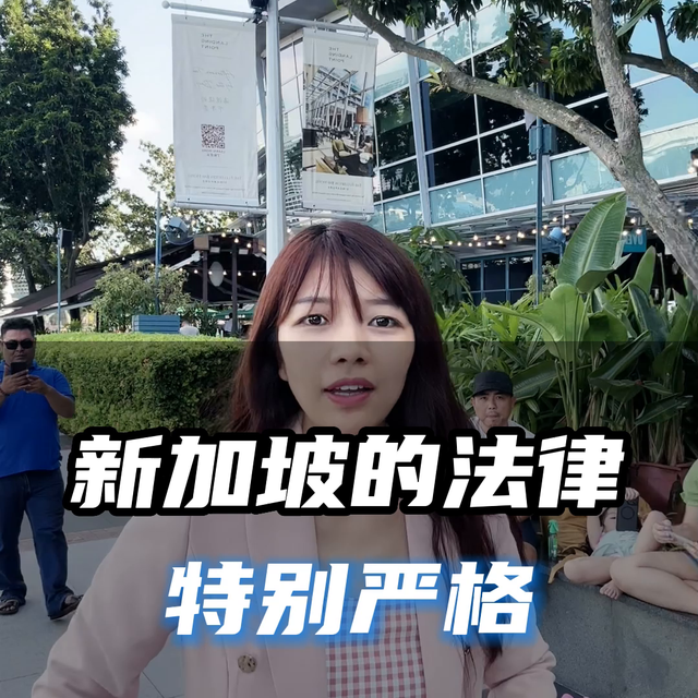 新加坡的法律有多严格？#出国