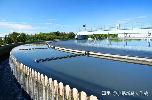 去新加坡留学，和她们做校友喽！