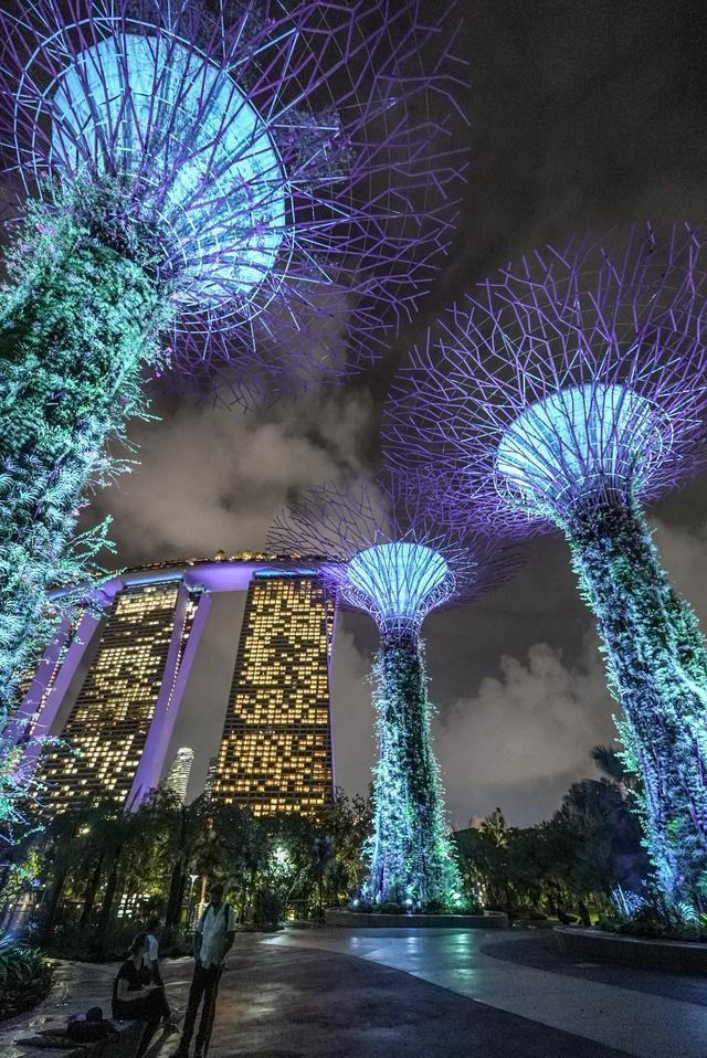 最具赛博风的城市不是重庆，而是新加坡！满地大蘑菇酷炫无比