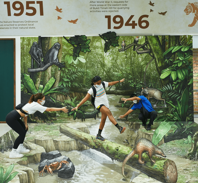 带娃逛遍新加坡森林和水库，9条适合儿童徒步的路线~