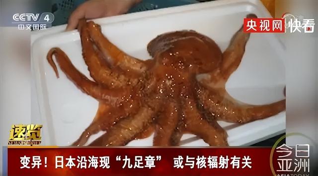 日本排放核污水后，我国将成为首批受害者，普通人如何应对？