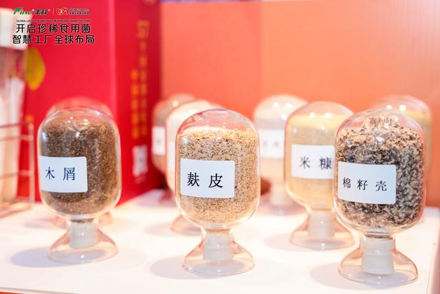 上海企业首度“出海”建食用菌智慧工厂，将填补美国本土金针菇生产空白